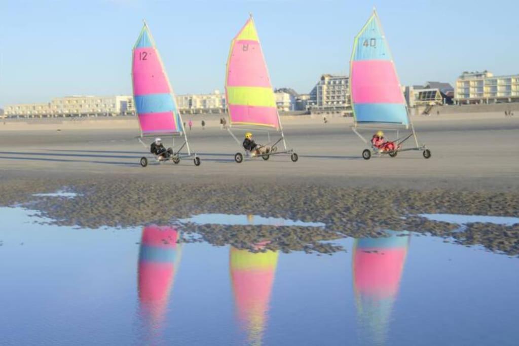 Cozy D'Opale Charmant T1 Bord De Mer Cour Privee Et Clot Wifi 3 Pers Animaux Acceptes Gratuit Lejlighed Berck Eksteriør billede