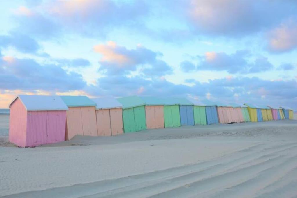 Cozy D'Opale Charmant T1 Bord De Mer Cour Privee Et Clot Wifi 3 Pers Animaux Acceptes Gratuit Lejlighed Berck Eksteriør billede